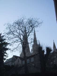 IMG_1810.JPG